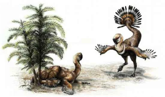 13 Newest Discoveries About Dinosaurs