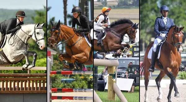 Detailed Explanation of Equestrian Competition Types and Rules