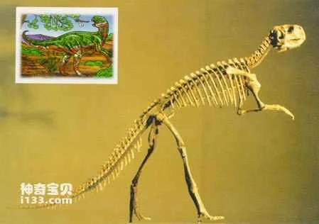 Unveiling the Dinosaurs of the Jehol Biota in Western Liaoning