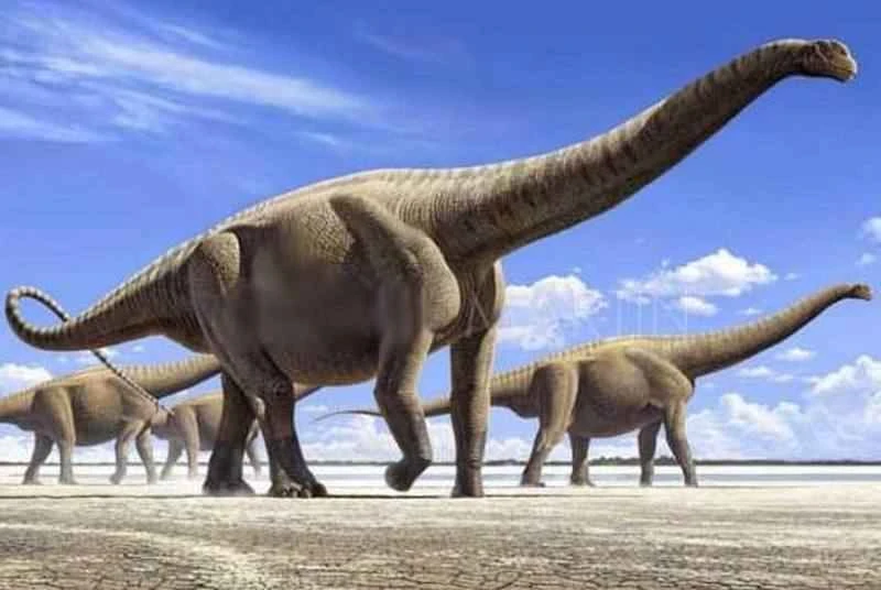 The 10 Largest Dinosaurs_Top 10 Dinosaur Size Ranking