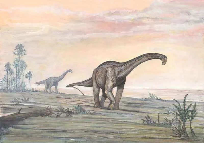 Pellegrinosaurus: A Comprehensive Understanding of This Giant Sauropod
