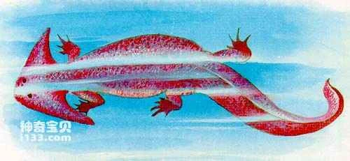 Introduction to crustacean amphibians