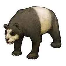 The Evolutionary History of Giant Pandas: Unveiling the Five Species from Ailuropoda to Modern Giant Pandas