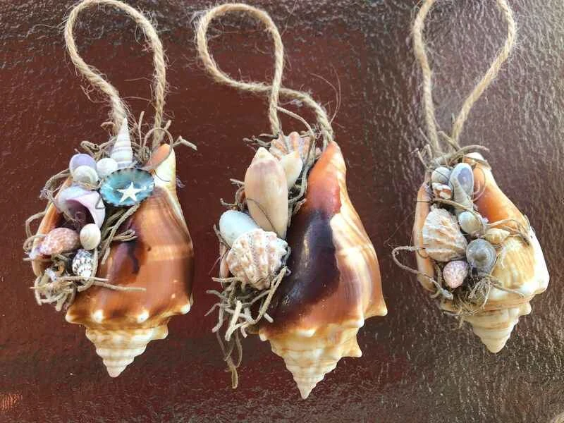 Top 10 Famous Seashells in the World