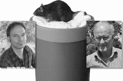 Can animals plan for the future?