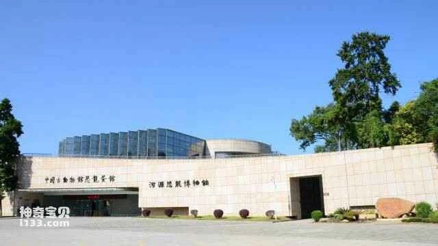 Heyuan Dinosaur Museum