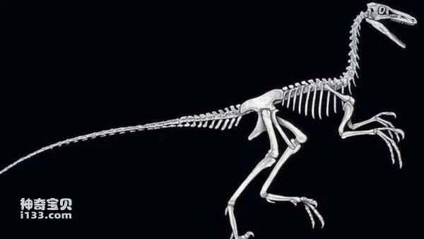 Were dinosaurs stupid?