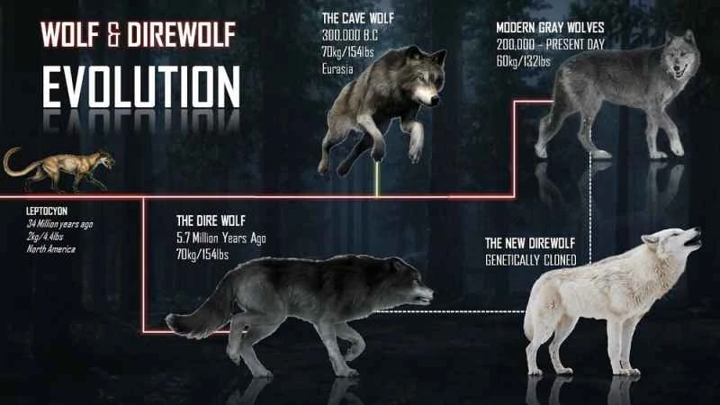 Direwolf: The Truth and Legends of the Prehistoric Giant Wolf