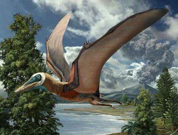 Are pterosaurs dinosaurs?