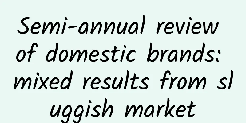 Semi-annual review of domestic brands: mixed results from sluggish market